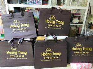 Túi xách album – túi đựng áo cưới tại Tp Hạ Long